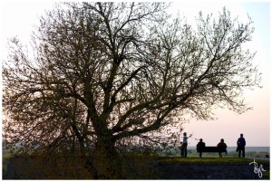 Kalemegdan